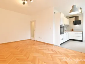 Pronájem bytu 2+kk, Brno, Družstevní, 53 m2