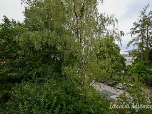 Pronájem bytu 2+kk, Brno, Družstevní, 53 m2