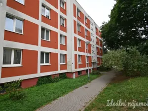 Pronájem bytu 2+kk, Brno, Družstevní, 53 m2
