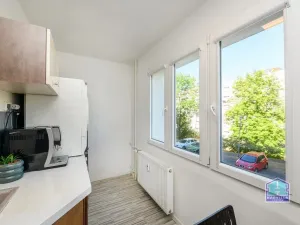 Prodej bytu 3+1, Plzeň - Doubravka, Ke Špitálskému lesu, 70 m2