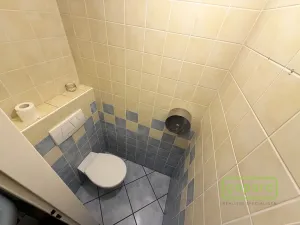 Pronájem obchodního prostoru, Praha, Bělehradská, 50 m2
