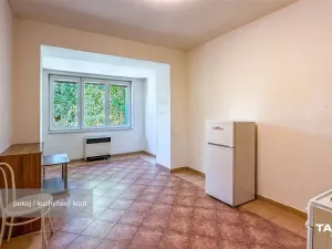 Prodej bytu 1+kk, Plzeň - Lobzy, Dítětova, 24 m2