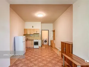 Prodej bytu 1+kk, Plzeň - Lobzy, Dítětova, 24 m2