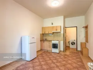 Prodej bytu 1+kk, Plzeň - Lobzy, Dítětova, 24 m2