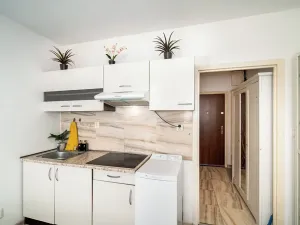 Pronájem bytu 1+kk, Praha, Štúrova, 20 m2