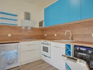 Pronájem bytu 1+kk, Ústí nad Labem, Baráčnická, 30 m2
