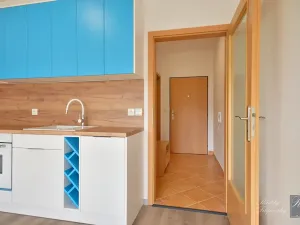 Pronájem bytu 1+kk, Ústí nad Labem, Baráčnická, 30 m2