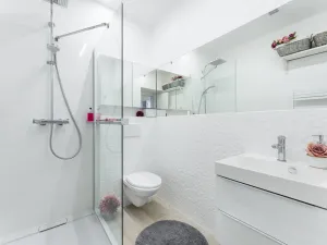 Pronájem bytu 1+kk, Albrechtice nad Orlicí, 1. máje, 26 m2