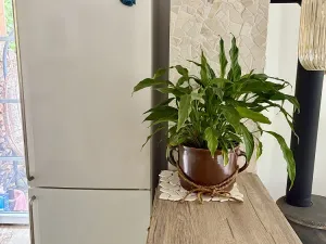 Pronájem rodinného domu, Březová nad Svitavou, Dlouhá, 70 m2