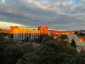 Pronájem bytu 1+kk, Praha - Vinohrady, Rejskova, 40 m2