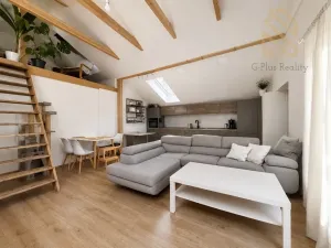 Pronájem bytu 3+kk, Brozany nad Ohří, Kozí, 90 m2
