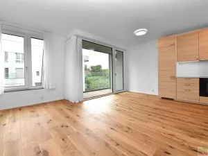 Pronájem bytu 2+kk, Praha - Radlice, U Komína, 47 m2