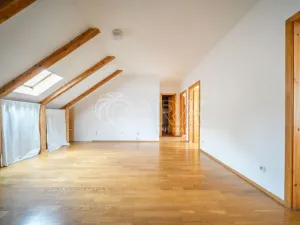 Pronájem bytu 4+kk, Praha - Žižkov, Hartigova, 200 m2