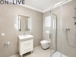Pronájem bytu 1+kk, Zbůch, 29 m2