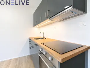 Pronájem bytu 1+kk, Zbůch, 29 m2