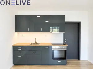 Pronájem bytu 1+kk, Zbůch, 32 m2