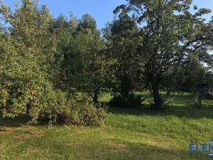 Pronájem rodinného domu, Stará Červená Voda, 180 m2