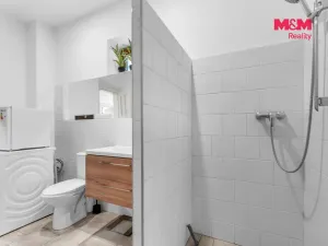 Prodej zemědělské usedlosti, Radim - Lháň, 180 m2