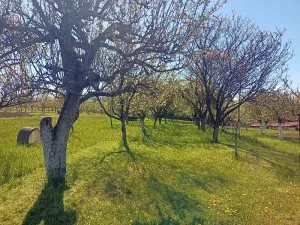 Prodej rodinného domu, Bojkovice, 190 m2