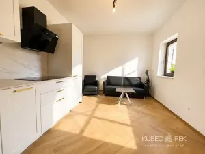 Pronájem kanceláře, Tábor, Bechyňská, 42 m2
