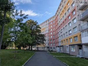 Prodej obchodního prostoru, Most, Šeříková, 39 m2