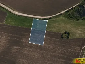 Prodej podílu 1/2 pole, Bojanovice, 35449 m2