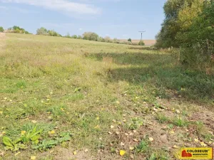 Prodej podílu 1/2 pole, Bojanovice, 35449 m2