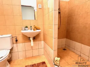 Pronájem bytu 1+kk, Olomouc - Hodolany, Březinova, 46 m2