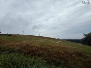 Prodej pozemku pro bydlení, Nová Ves v Horách, 3241 m2