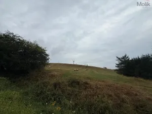 Prodej pozemku pro bydlení, Nová Ves v Horách, 3241 m2