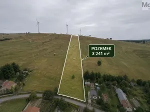 Prodej pozemku pro bydlení, Nová Ves v Horách, 3241 m2
