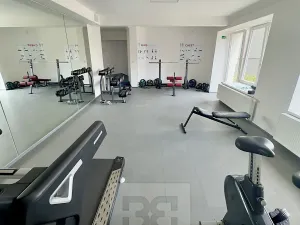 Pronájem bytu 2+kk, Praha - Vinohrady, Perucká, 35 m2