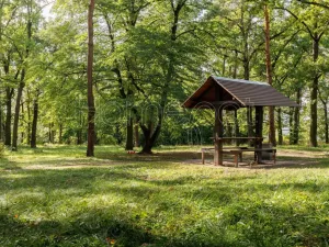 Pronájem bytu 2+kk, Milovice - Mladá, Višňová, 39 m2