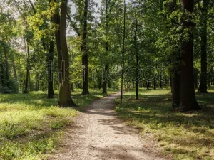Pronájem bytu 2+kk, Milovice - Mladá, Višňová, 39 m2