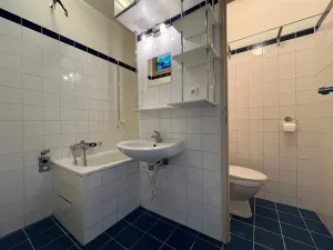 Pronájem bytu 2+1, Rájec-Jestřebí, Komenského, 56 m2