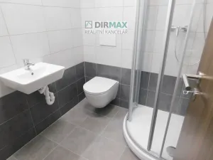 Pronájem bytu 1+1, Plzeň - Severní Předměstí, Dělnická, 42 m2