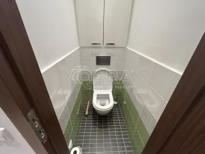 Pronájem bytu 2+1, Praha - Žižkov, Pod lipami, 53 m2