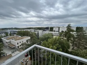 Pronájem bytu 2+1, Praha - Žižkov, Pod lipami, 53 m2