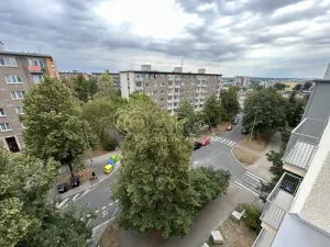 Pronájem bytu 2+1, Praha - Žižkov, Pod lipami, 53 m2