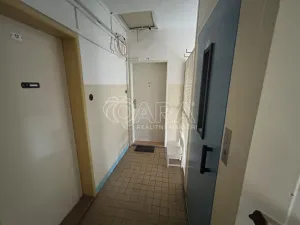 Pronájem bytu 2+1, Praha - Žižkov, Pod lipami, 53 m2