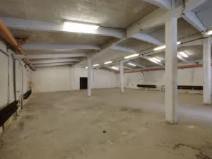 Pronájem skladu, Chodov, Tovární, 237 m2