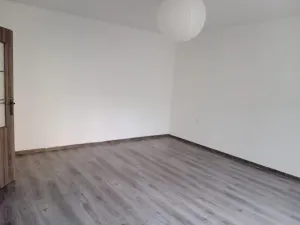 Pronájem bytu 2+kk, Ústí nad Labem - Neštěmice, Mlýnská, 54 m2