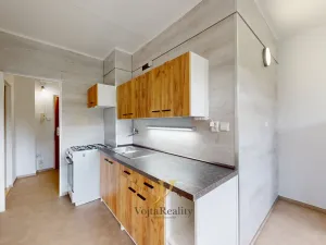 Pronájem bytu 1+1, Olomouc, Pionýrská, 44 m2
