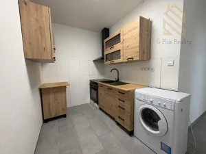Pronájem bytu 2+1, Litvínov - Janov, Kopistská, 37 m2