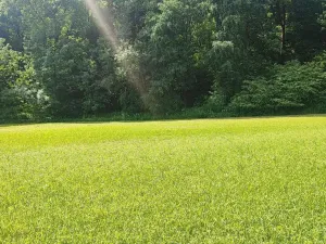 Prodej pozemku pro bydlení, Vyškov - Opatovice, 670 m2