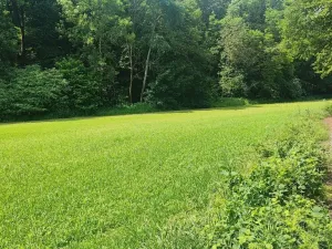 Prodej pozemku pro bydlení, Vyškov - Opatovice, 670 m2