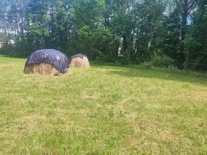 Prodej pozemku pro bydlení, Vyškov - Opatovice, 670 m2