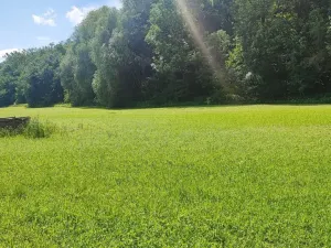 Prodej pozemku pro bydlení, Vyškov - Opatovice, 670 m2