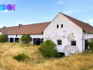 Prodej zemědělského objektu, Vícenice, 5810 m2