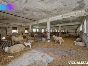 Prodej zemědělského objektu, Vícenice, 5810 m2